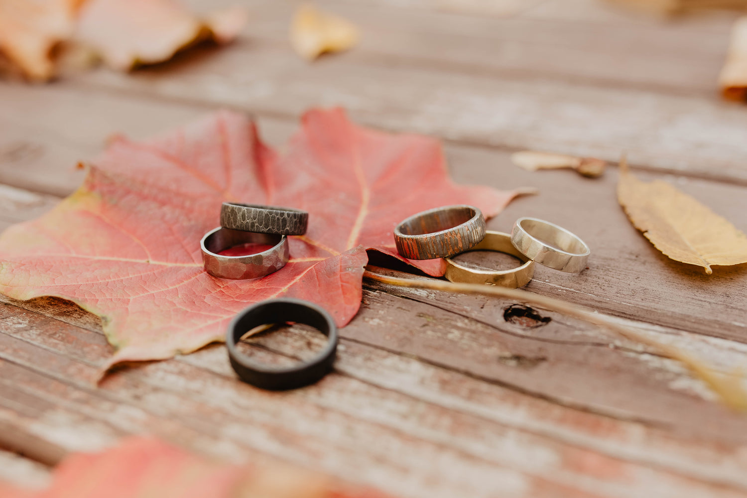 Various mens wedding bands scattered about a fall theme