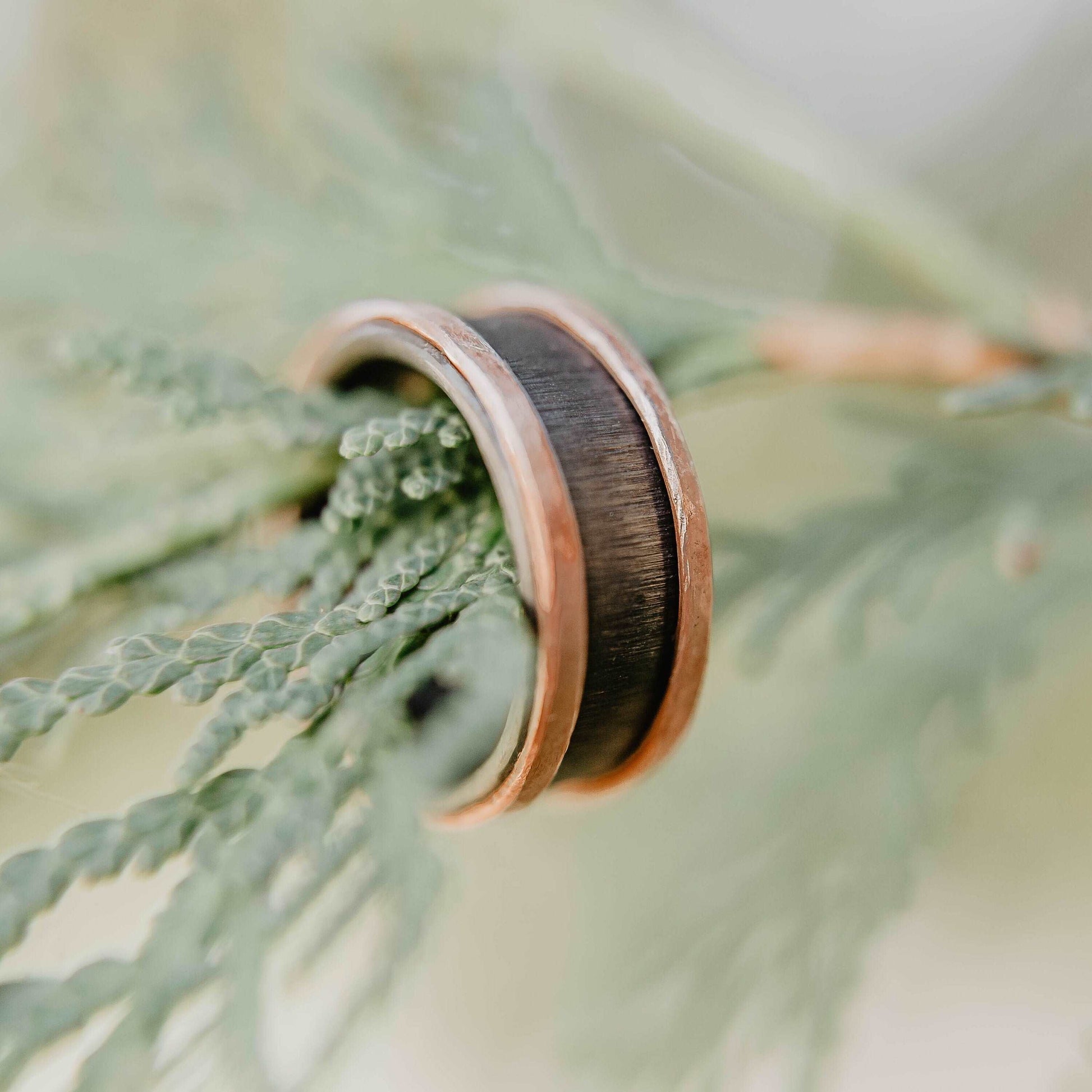 Mens zirconium and copper wedding band. This photo shows a vertical grit zirconium band with a copper band on each edge. (Vertical with pine background)