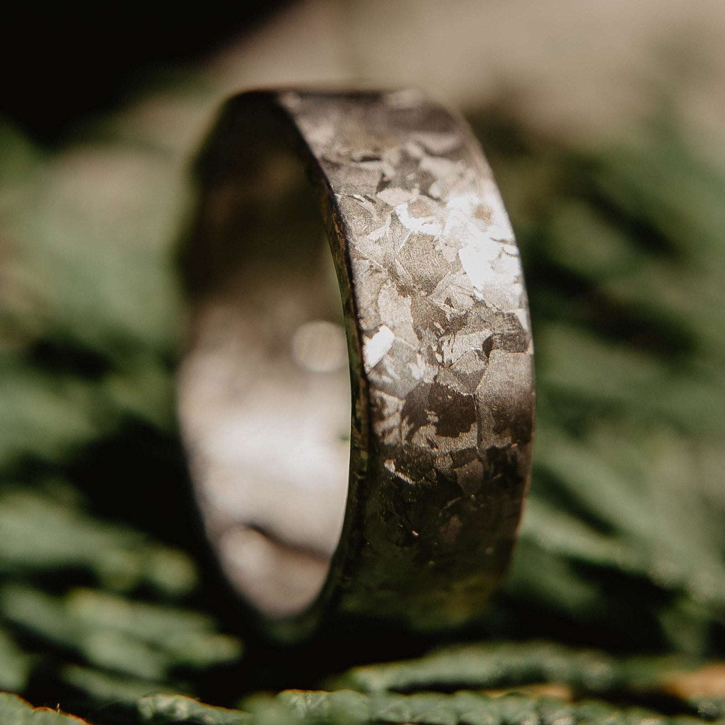 Crystallized Titanium Wedding Band. Gray titanium ring with crystallized surface. (Vertical with pine sprig background)