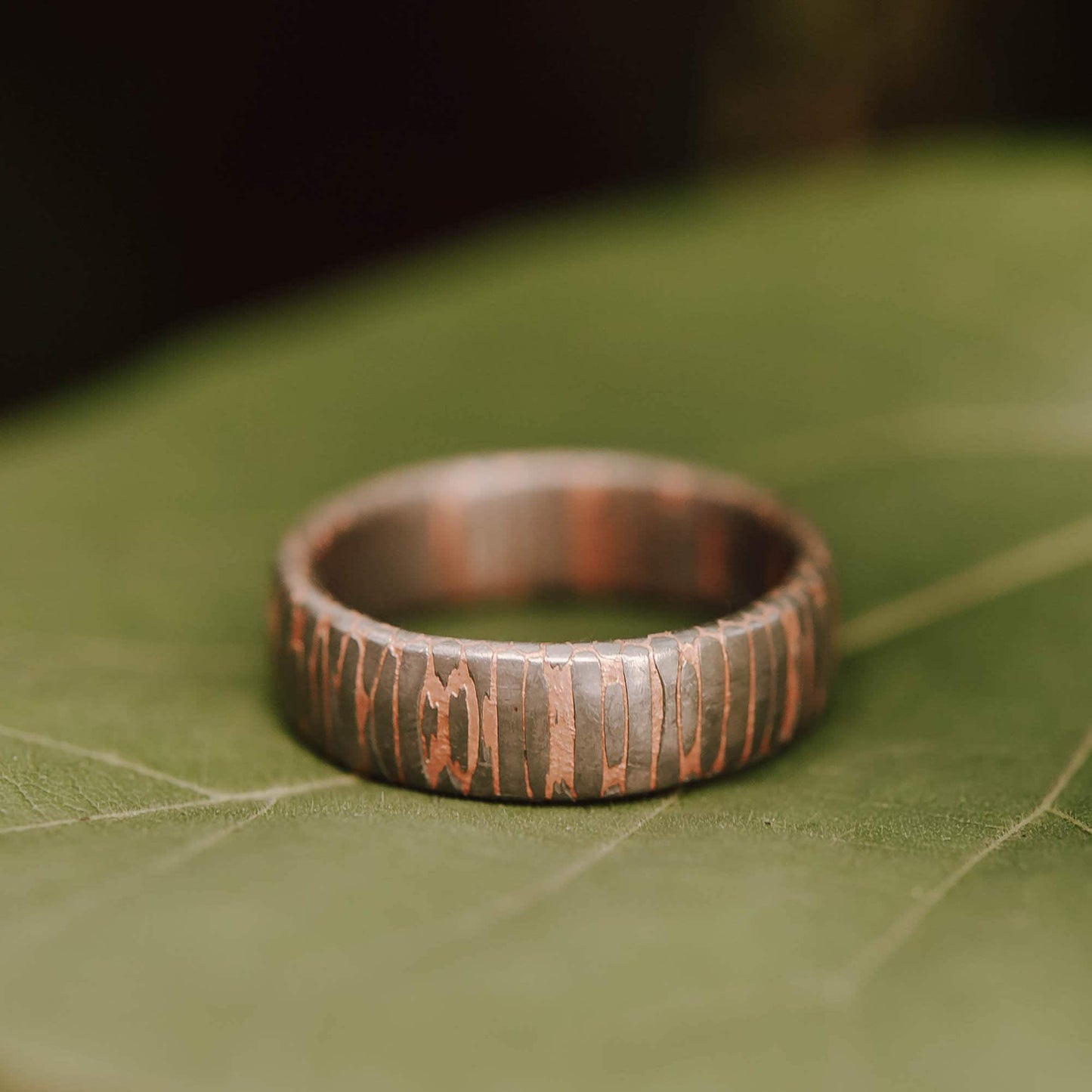 Superconductor wedding band. This photo shows an etched titanium-niobium and copper striped ring. (Horizontal with leaf background)